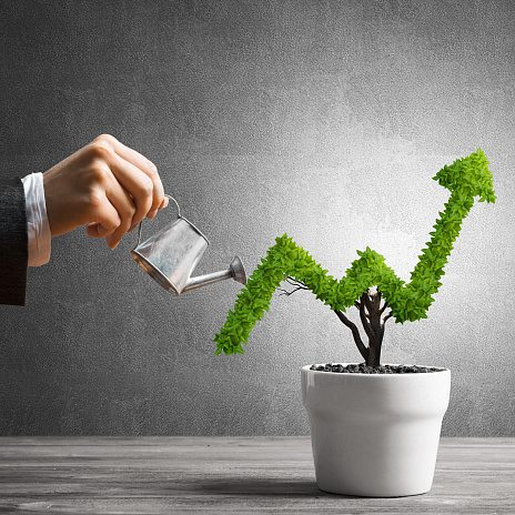 Деньги на идеи: как увеличить число государственно-частных проектов в IT